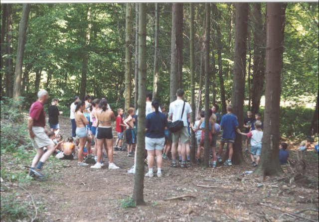 obrzek17.jpg