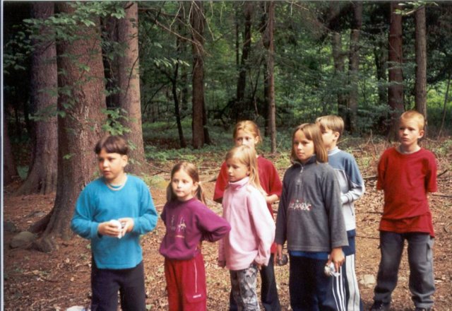 obrzek97.jpg