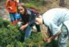 photo118_small.jpg