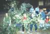 photo16_small.jpg
