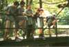 photo217_small.jpg