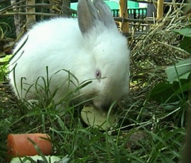 photo10.jpg