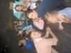 img_2837_small.jpg