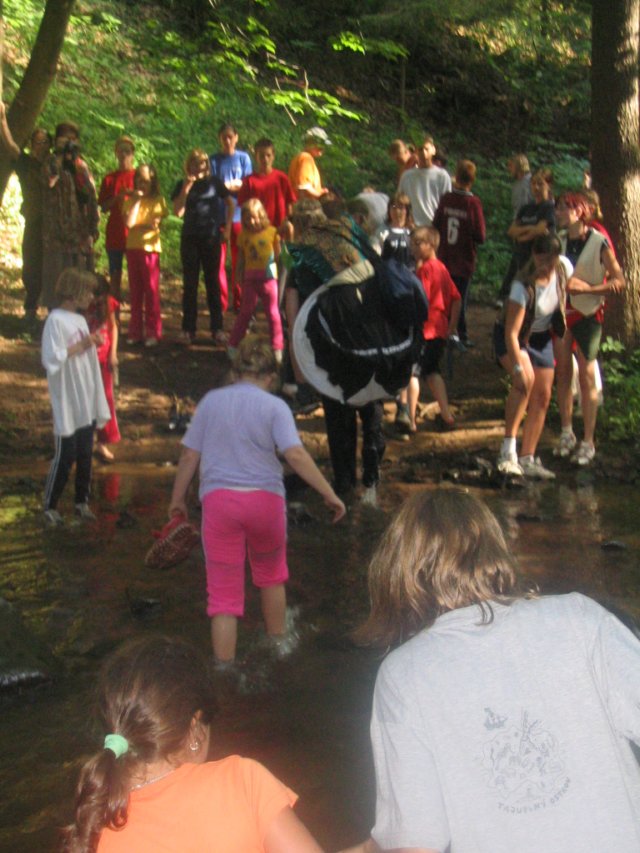 img_2963.jpg