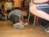 krounka05095_small.jpg