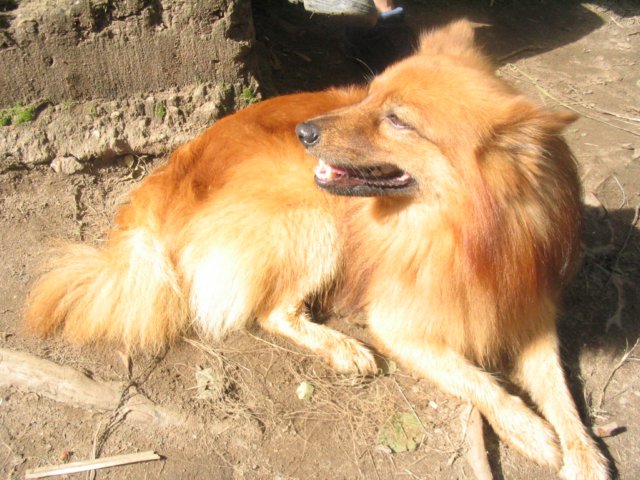 krounka05digi3267.jpg