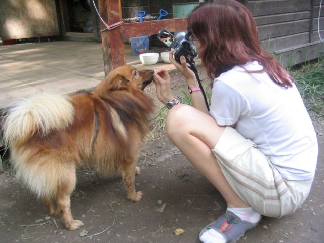 krounka05digi3273.jpg