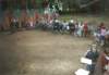 photo226_small.jpg