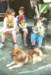 photo280_small.jpg