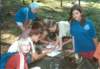 photo317_small.jpg