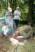 photo98_small.jpg