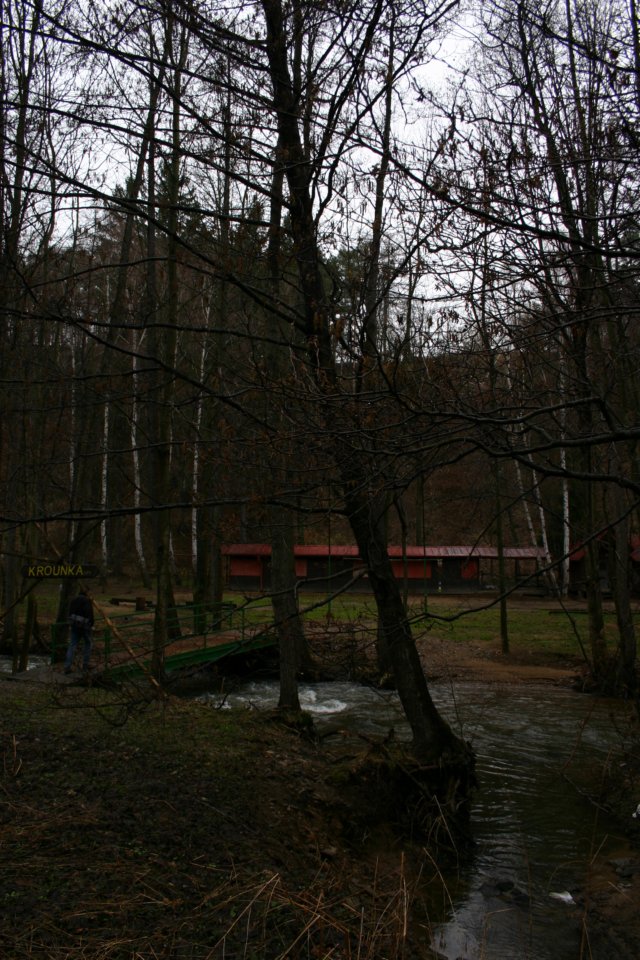 img_2903.jpg