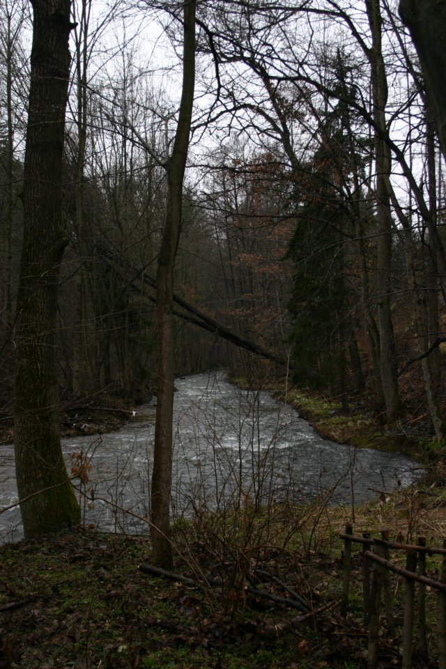 img_2913.jpg