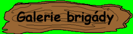 galerie brigd
