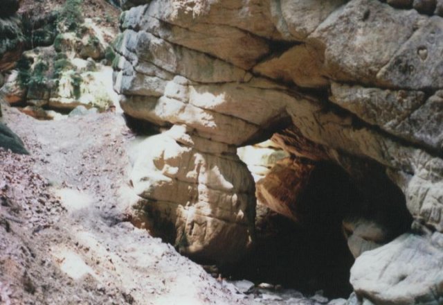 photo3.jpg