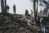 photo9_small.jpg