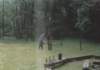 snmek004_small.jpg