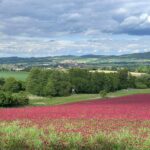 IMG-20250517-WA0066