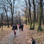 IMG_20251109_111633626_HDR