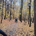 IMG_20251109_113637354_HDR