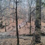 IMG_20251109_134250667_HDR